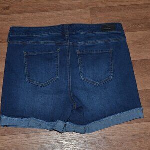 Celebrity Pink Shorts Size 16